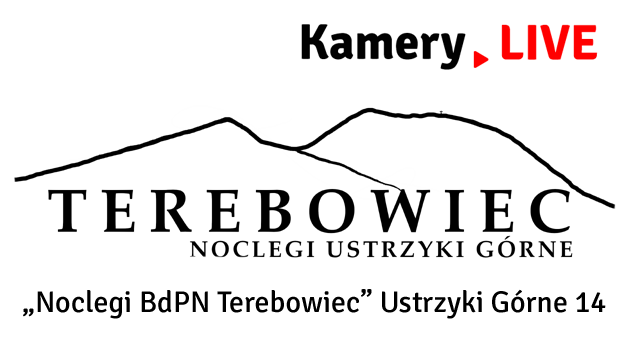 Kamery.LIVE