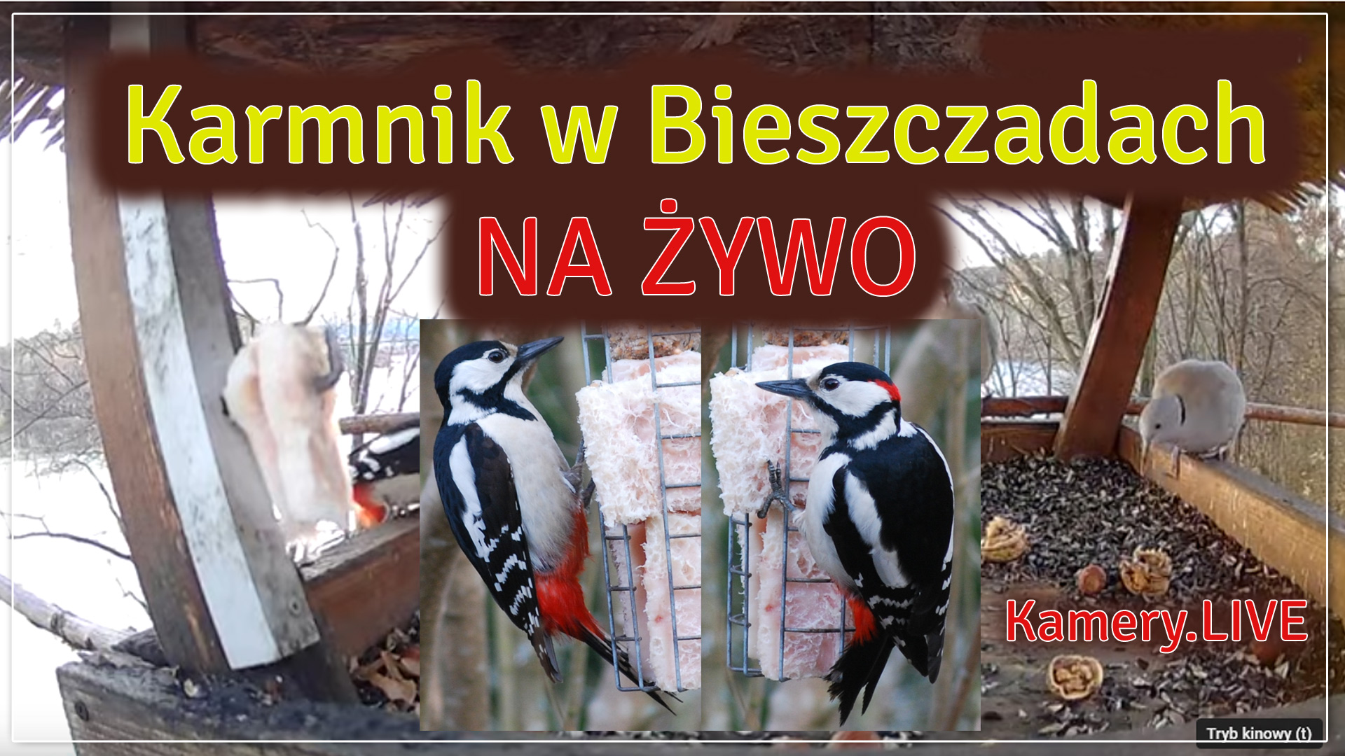 Karmnik nad Soliną